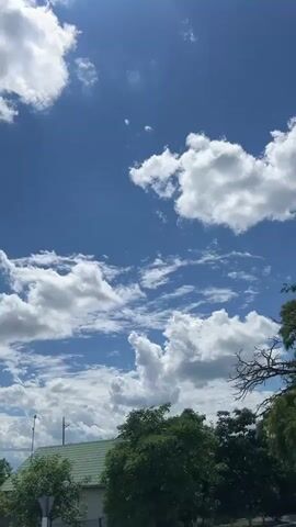 The video shows a view of the sky from the ground level. The sky is bright blue with fluffy white clouds scattered across it. The sun is visible in the upper left corner, casting light on the clouds. In the middle of the frame, a small black bird is seen flying against the backdrop of the clouds. Below the sky, the tops of green trees and the roof of a building are visible. A fence made of concrete or stone is also present in the lower part of the frame. The video appears to be filmed on a sunny day.