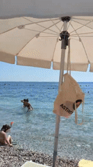 Beach festivities with DJ, swimming, paragliding documented by witnesses