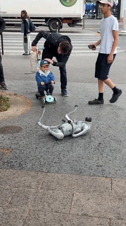 Robot dog malfunctions on Paris street as pedestrians pass