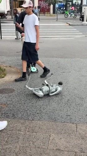 Robot dog malfunctions on Paris street as pedestrians pass