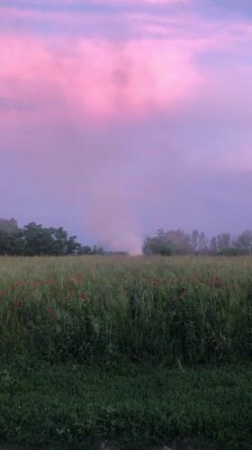 Funnel cloud looms over a poppy field at dusk