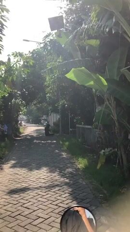 The video shows a paved walkway lined with trees and some buildings. Sunlight streams through the leaves, creating dappled shadows on the ground. A person is sitting on the walkway in the middle distance. The person is wearing dark clothing and appears to be looking down. The camera is moving, suggesting it is being filmed from a vehicle.