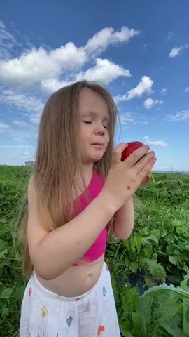 The media file shows a young girl with long, blonde hair and a pink top holding a strawberry in a field. She appears to be tasting the strawberry, and her facial expression suggests she finds it delicious. In the background, a man is holding a baby, and both are looking at the girl. The setting is a field of green plants, likely a strawberry farm, under a blue sky with white clouds. The time of day appears to be daytime, and the weather seems pleasant. The overall mood is one of joy and family enjoyment, possibly during a strawberry picking outing. There are other people visible in the far distance, also in the field, suggesting a larger group activity. The specific location is Doma 78 Km, Russia.