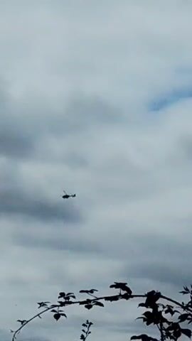 A helicopter flies across a cloudy sky, silhouetted against the overcast background. The helicopter is small in the frame, appearing as a dark shape with rotors. The bottom of the frame shows the dark silhouettes of tree branches with leaves, suggesting the viewer is looking up through trees.