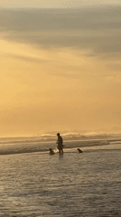 Families enjoy golden hour beach time in North Kuta