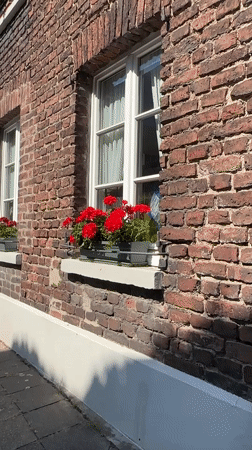 Flowers and greenery along a Krefeld neighborhood on a summer afternoon.