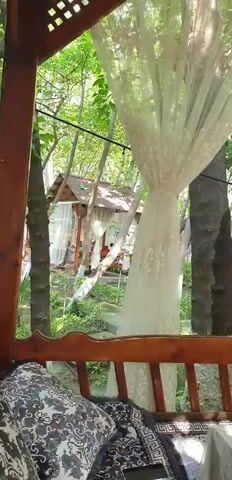 A video captures an outdoor seating area at a restaurant. The perspective is from a wooden bench with patterned cushions, looking through sheer white curtains. Beyond the curtains, lush green trees and foliage are visible. Several small, open-air gazebos with thatched roofs are scattered throughout the area, adorned with white curtains. In the foreground, on a table set for a meal, are ornate glasses, plates with decorative patterns, and a green thermos. A person wearing a light blue headscarf is seated at the table, with their head bowed as if resting or asleep. The overall impression is a peaceful, shaded dining spot surrounded by nature.