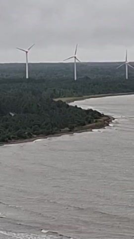 This video shows an aerial view of a coastline with three wind turbines in the distance. The turbines are white with red tips on their blades and are positioned behind a dense line of dark green trees. The water in the foreground is a muted grey-blue with gentle waves lapping at a narrow, sandy beach that curves along the coastline. The sky is overcast and grey, suggesting a cloudy day. The perspective is from a height, looking down and across the landscape.