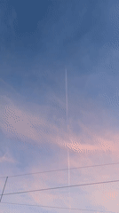Saint Petersburg residents document everyday scenes, Victory Day displays
