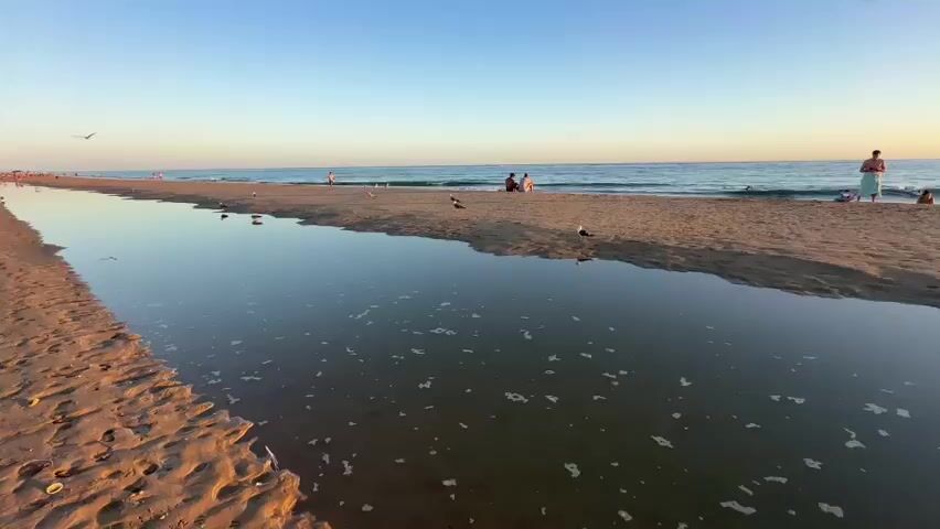 A wide shot captures a calm beach scene at dusk. A shallow pool of water reflecting the clear sky runs diagonally across the sand in the foreground. Several seagulls are scattered along the edge of the pool and on the sand. In the background, a gentle ocean laps at the shore, and a few people are visible sitting or standing on the beach, some near the water's edge. The sky transitions from a soft blue to a warm, hazy orange near the horizon, indicating the setting sun. The overall atmosphere is serene and peaceful.