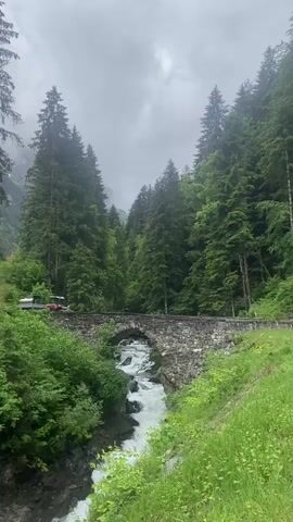 This video shows a picturesque natural landscape, likely in an alpine region like Champéry, Switzerland, as indicated by the tall evergreen trees and mountainous terrain. A rustic stone arch bridge spans a fast-flowing river or stream with white rapids. The river cuts through a narrow gorge lined with lush green vegetation, including grass and bushes.

The sky is overcast, suggesting a cloudy day, which casts a soft, diffused light over the scene. On the stone bridge, two vehicles are visible. Initially, they are stationary on the left side of the bridge. One is a white or silver utility vehicle, possibly with a tank or large container on its back, followed by a red tractor or similar utility vehicle. Both vehicles then slowly drive across the bridge from left to right, disappearing behind the trees on the right side.

The dense forest of tall conifers dominates the background and flanks the river on both sides. The overall impression is one of serene natural beauty, with human elements (the bridge and vehicles) integrated into the rugged landscape. There is no visible text.