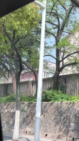 The video shows a view from a moving vehicle, possibly a car, passing by a street. The street is lined with trees and a stone wall topped with a fence. Street signs are visible, one indicating the direction of a "new energy charging station" and another cautioning "Cars yield to pedestrians." A couple on a motorcycle passes by. The environment appears to be a city or suburban area with buildings visible behind the trees and fence.