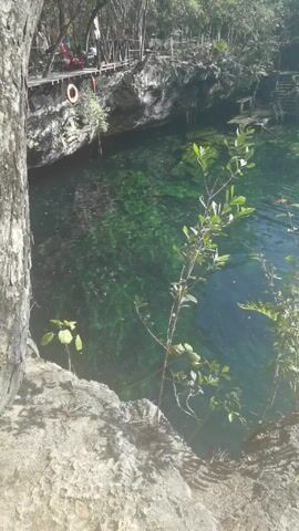 The video captures an exterior scene, likely a cenote or natural pool, surrounded by rock formations and vegetation. The camera is positioned on a rocky ledge, with a tree trunk visible on the left side of the frame. The water is exceptionally clear, revealing a glimpse of the pool's depth and the rocky formations beneath the surface. At least one person is seen swimming in the pool. A wooden boardwalk with a red life preserver attached to it is situated along the edge of the pool, indicating accessibility and safety measures. Additional greenery and forest trees are present in the background, adding to the natural setting.