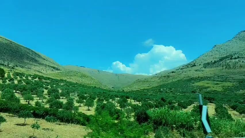 The video shows a scenic drive through a rural, hilly landscape under a clear blue sky with scattered white clouds. The primary subjects are the lush green trees and vegetation that dominate the foreground and middle ground, with a winding road visible. In the background, gently sloping mountains rise, also covered in greenery and sparse vegetation. The scene appears to be set during the daytime, likely late morning or early afternoon, given the bright sunlight. The weather seems pleasant and sunny.

The activity is a journey, as indicated by the moving perspective and the road signs. A black and white chevron road sign, indicating a curve in the road, is visible at different points. The overall impression is one of tranquility and natural beauty. The location cues, such as the Mediterranean vegetation and the hilly terrain, are consistent with San Vito Lo Capo, Italy, known for its picturesque countryside. There is no visible text in the video. The video evokes a feeling of peaceful exploration and appreciation for the natural environment.