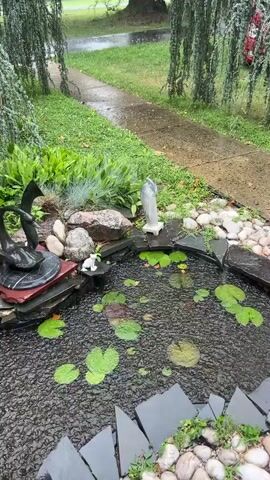 The video shows a close-up view of a small, decorative pond surrounded by greenery and rocks. Water is rippling on the surface of the pond, suggesting it may be raining or the water feature is active. Several green lily pads float on the water. A decorative black swan sculpture is positioned on the left side of the pond, with a small white animal figurine near it. A white statue, possibly of a religious figure, stands on the right side. Beyond the pond, a paved walkway leads through a grassy area with trees. The overall impression is of a tranquil, albeit wet, garden setting.