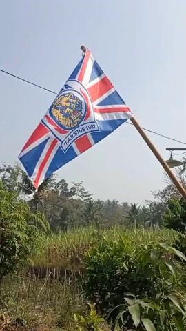 A flag featuring the Union Jack with an emblem in the center is displayed on a wooden pole. The emblem appears to be circular and contains images of a lion and text that includes "AREMA" and "11 AGUSTUS 1967". The flag is attached to a wire and is positioned outdoors against a bright, clear sky. In the background, there are trees, vegetation, and what looks like a body of water or a marshy area. The scene appears to be rural.