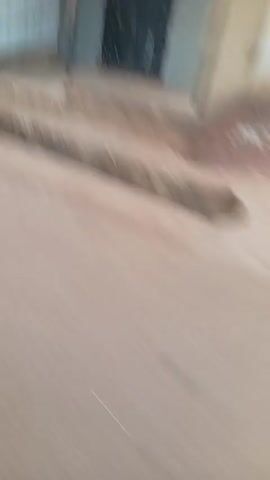 The video shows a fast-moving view from a vehicle driving down a street.  The video is shaky and blurred.  Buildings with corrugated metal roofs and varied colors can be seen on both sides of the street.  Some buildings have barred windows or open doors.  There are also some trees visible.  The video ends showing a building painted blue with orange circles and red doors.