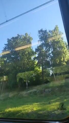 The video shows a view from a train window. Outside the window, there are trees, grass, and a blue sky with some clouds. The trees are green and leafy. The grass is green and appears to be growing on a hillside. The sky is clear and blue, with a few white clouds. The train appears to be moving, as evidenced by the slight blur of the scenery. The interior of the train is visible through the window, with seats and the window frame. There are also reflections on the window, showing parts of the train's interior. The overall impression is one of a pleasant journey through a natural landscape on a sunny day.