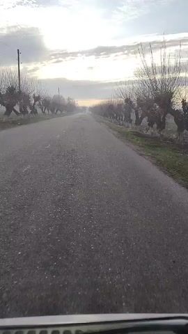 A camera placed on the dashboard of a vehicle records a drive down a long, straight, cracked asphalt road. Bare trees line both sides of the road. The sky is visible above the trees, featuring a mix of white and gray clouds, illuminated by the sun setting on the horizon. There's fog in the distance. The sound of music can be heard.