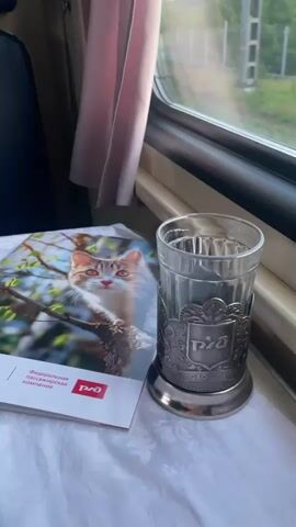 The video shows the interior of a train carriage, focusing on a window view and objects on a table beside it. On a white, patterned tablecloth, there is a clear glass held in a silver-colored metal podstakannik (traditional Russian tea-glass holder) with the "РЖД" (RZD - Russian Railways) logo embossed on it. Next to the glass is a magazine, likely an in-train publication, featuring a striking image of a cat with bright orange eyes on its cover, set against a background of green foliage. The magazine also displays the "РЖД" logo and the text "Федеральная пассажирская компания" (Federal Passenger Company).

A pink curtain hangs to the left of the window, partially obscuring the view. The train is in motion, and the landscape outside the window is visible, depicting a rural or semi-rural area with green trees, a fence running alongside the railway tracks, and utility poles. The sky appears clear, suggesting late afternoon or early evening, with soft, natural light illuminating the scene. The overall impression is one of a calm journey by train through the Russian countryside near Zaluzhnoye.