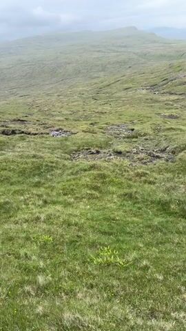 The video shows a green, grassy landscape with rolling hills. The sky is overcast with clouds. In the foreground, there is short, well-maintained grass with some patches of damp ground and small yellow flowers. In the mid-ground, the grass is longer and appears more rugged, with visible streams and rocky outcrops covered in moss. The background features more distant hills that are hazy and blend into the sky. There are no people or animals visible in the video. The overall impression is of a vast, natural, and somewhat wild environment.