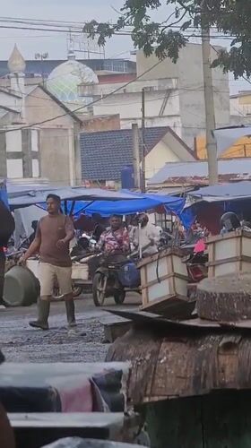 Evening fish market activity documented in Lhokseumawe, Indonesia