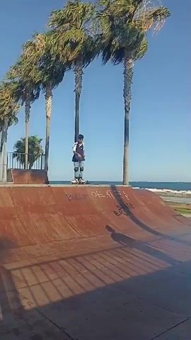 A man in a black t-shirt and shorts with roller skates and protective gear on, attempts a trick on a ramp while another man in a white t-shirt and blue shorts with roller skates and protective gear on, watches from the top of the ramp. The scene is outdoors with palm trees and the ocean in the background. The sky is clear and blue.