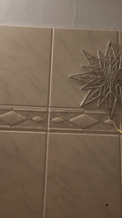 Bathroom details: toiletries, decor, and everyday essentials