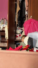 Moscow Family's Morning Routine Captured in Domestic Scenes