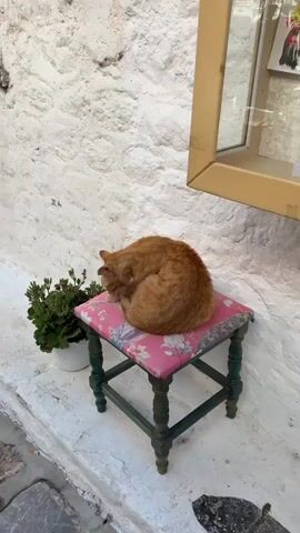 The video opens with a close-up shot of an orange cat curled up asleep on a small, floral-patterned stool. The stool is painted green, and a potted plant sits beside it on the ground. The background is a white, textured wall. The camera then pans up to reveal a narrow street paved with cobblestones. White buildings line the street, and a restaurant with a striped awning and red tables and chairs can be seen in the distance. A small white vehicle is parked in the street. The sky is blue and clear.