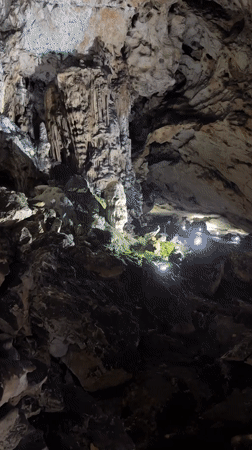Tourist documents Magura Cave formations in Bulgaria