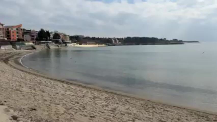 The video shows a calm beach with light brown sand and a still body of water under a cloudy sky. In the background, there are buildings and trees along the shoreline. A small rocky outcrop extends into the water on the right. There are no people visible in the video.