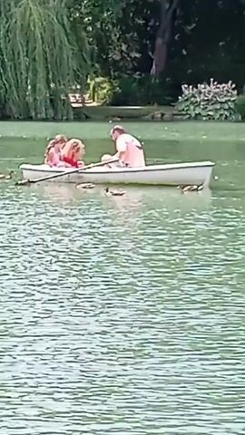 A man and two girls are in a rowboat on a lake. The man is rowing. There are ducks swimming in the lake around the boat. The background shows trees and foliage.