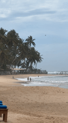 Overcast morning captures tranquil Mirissa Beach scene in Sri Lanka