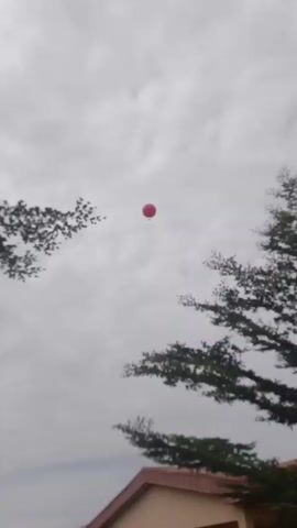 A red balloon is visible in the sky, high above a building with a beige facade and a brown roof. The sky is overcast with gray clouds. Tree branches with green leaves frame the scene from the left and right sides. The balloon is in the upper center of the frame and appears to be stationary. The video is short and does not show any movement of the balloon or other elements.
