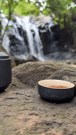 Tea ceremony captured at Selemadeg waterfall, Indonesia