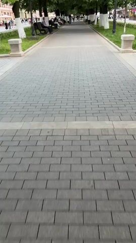 The video shows a paved pathway lined with trees. The pathway is made of grey pavers. People are sitting on benches along the sides of the pathway. Some people are walking along the pathway. The trees are tall and green, with white trunks. There are streetlights along the pathway. The scene appears to be a park or a public square.