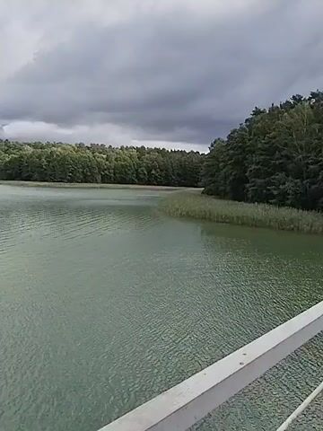 A wide shot shows a body of water under a cloudy sky. The water has small ripples. On the far side of the water, there is a dense line of trees. In the foreground, a light-colored railing is visible, suggesting the shot is taken from a bridge or elevated walkway. The overall impression is a natural landscape, possibly a lake or a large river.