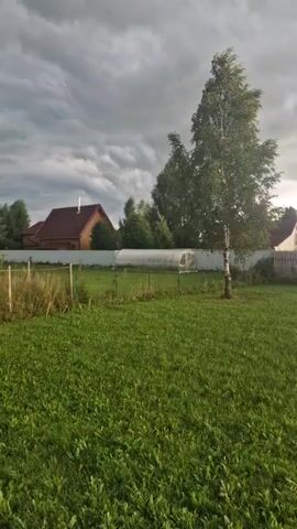 The video shows an outdoor scene with a well-maintained lawn in the foreground. A single birch tree stands in the middle of the lawn. In the background, there is a fence, a greenhouse, and two houses. The sky is overcast with dark, ominous clouds, suggesting an approaching storm. The overall atmosphere is calm and serene, with a hint of dramatic weather.