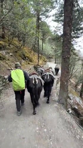 Morning trek activity observed in Nepal's Khumjung village