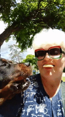 Woman and award-winning Rottweiler enjoy morning outing in Ukrainian park