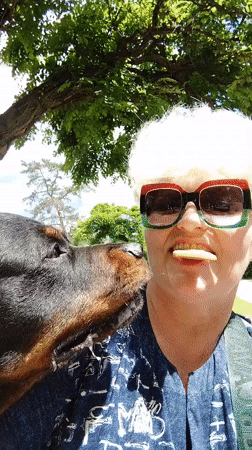 Woman and award-winning Rottweiler enjoy morning outing in Ukrainian park