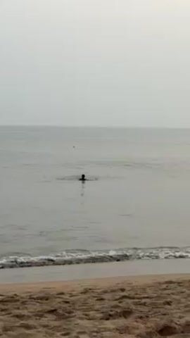 The scene is a static shot of a beach with a person swimming in the ocean. The beach has light brown sand. The ocean is calm, with small waves breaking on the shore. The water is a muted gray-blue color. A single person is visible in the water, their silhouette stark against the lighter horizon. The person is swimming some distance from the shore. The sky is overcast and gray, contributing to the somewhat bleak and subdued atmosphere of the scene. In the background a buoy can be seen.