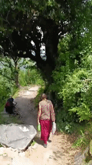 Mountain trek through Manali and Vashisht's forest paths and scenic roads