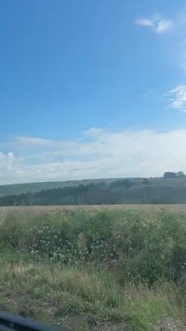 The video shows a rural landscape under a bright blue sky with scattered white clouds. In the foreground, tall green grass and some white wildflowers are visible, suggesting a natural, uncultivated area. Behind the foreground, a large, flat field, possibly harvested farmland, stretches horizontally across the middle ground. Further in the background, a dense green forest covers rolling hills. The overall impression is one of natural beauty and openness.