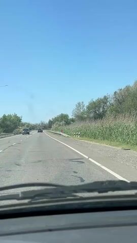 The video captures a first-person view from inside a vehicle driving on a highway. The road is asphalt with clear lane markings, and there are other vehicles visible ahead. The environment outside the car consists of a clear blue sky, green trees lining the side of the road, and tall, dry grass or crops adjacent to the highway. A guardrail runs alongside the road, and there are road signs visible. The windshield of the car has visible wipers. The overall scene depicts a sunny day on a highway.