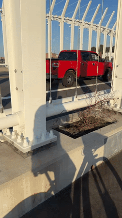 Evening waterfront activity documented across Boston's downtown and riverfront areas