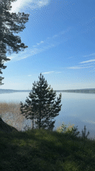 Tranquil lakeside morning captured on video in Votkinsk, Russia