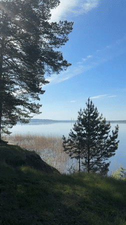 Tranquil lakeside morning captured on video in Votkinsk, Russia