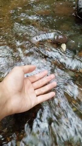 A person's hand is submerged in a shallow, flowing stream. The water is clear and reflects light, creating a shimmering effect. Small rocks and pebbles are visible beneath the water. The hand moves slightly as the water flows around it. The background is blurred, but suggests a natural setting.